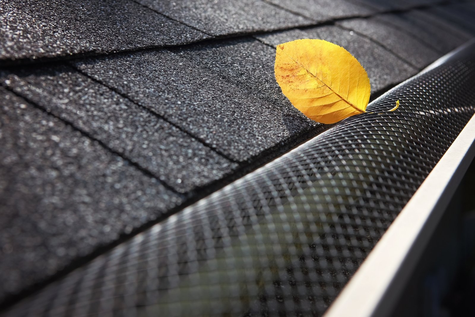 Gutter Guards Installation